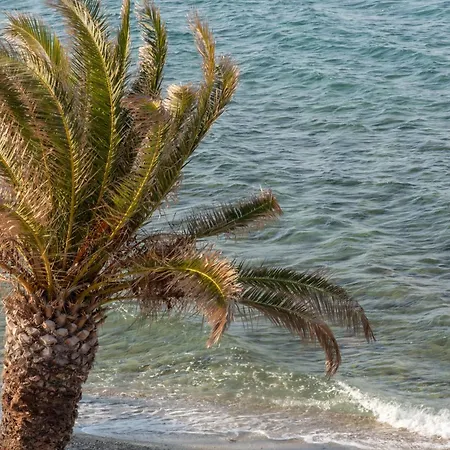 Апартаменты Houseloft Sandals Beachfront Полихроно